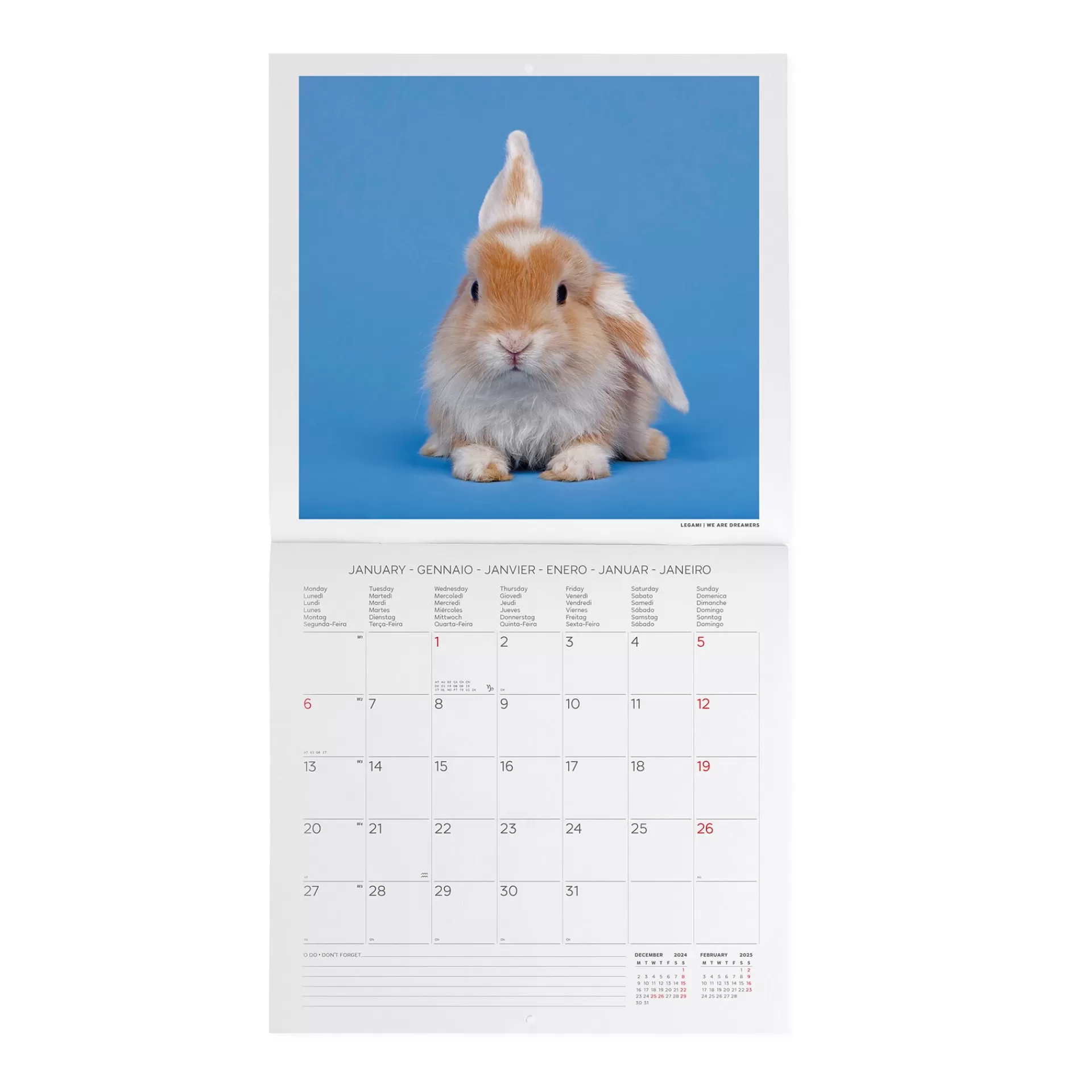 Legami Milano Calendario da Parete 2025 - 30 x 29 cm- Calendari Da Parete
