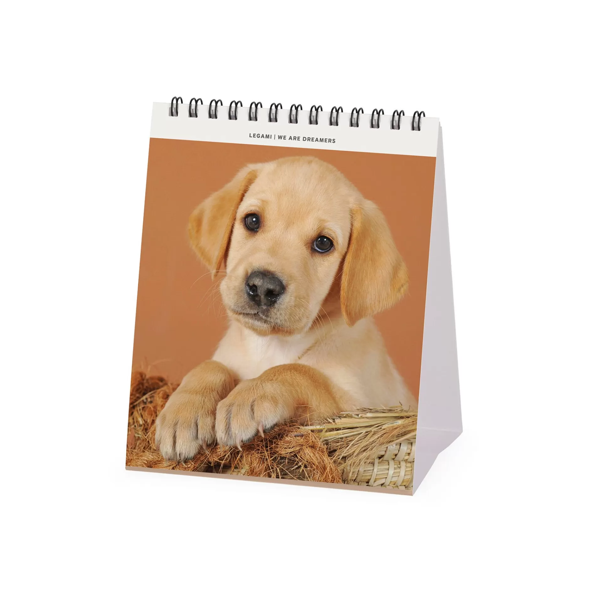 Legami Milano Calendario da Tavolo 2025 - 12 x 14,5 cm- Calendari Da Tavolo